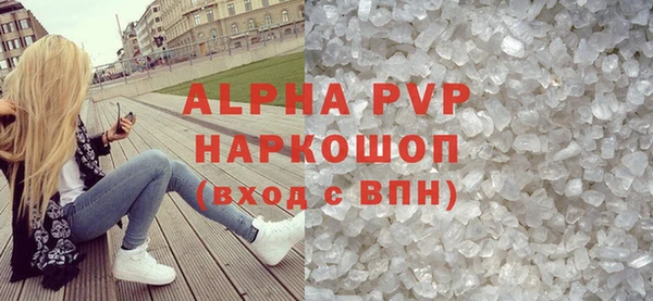 стаф Алексин