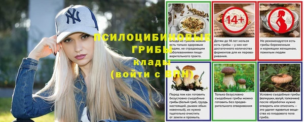 стаф Алексин