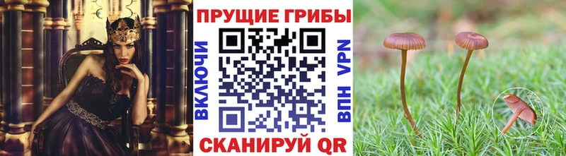 Псилоцибиновые грибы мицелий Мамоново